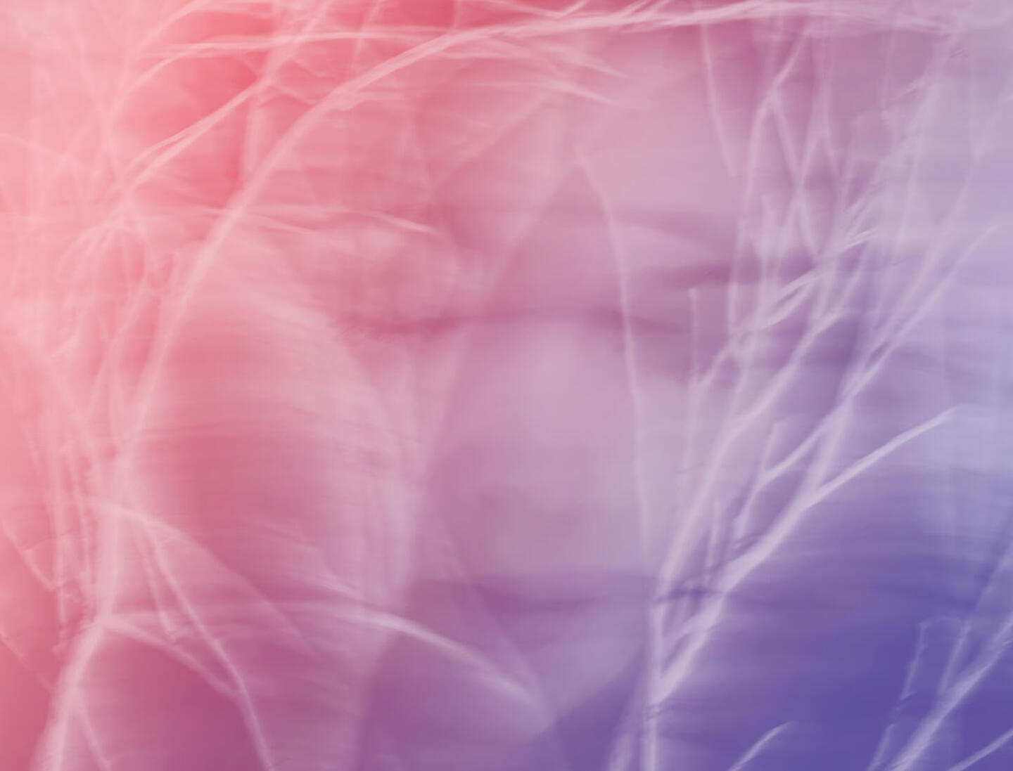 RootRelease™ Meditations Image RootRelease™ Meditations Image