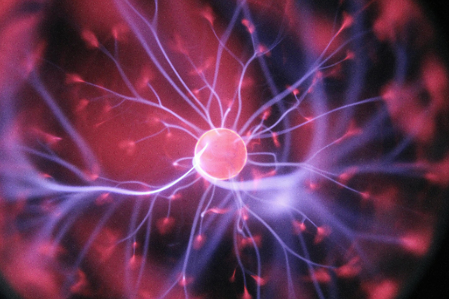 NeuroEase™ Meditations Image NeuroEase™ Meditations Image