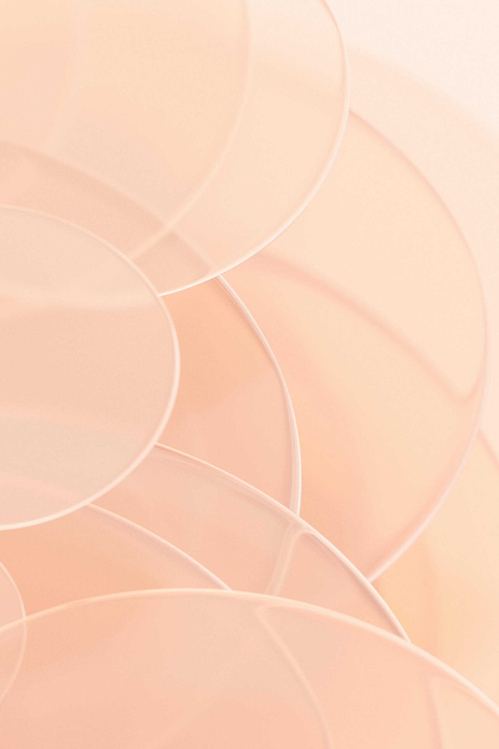 Somatic Sessions Image